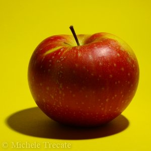 foto di una mela rossa su sfondo giallo